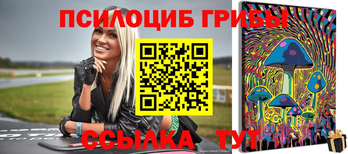 Псилоцибиновые грибы MAGIC MUSHROOMS  Вход с VPN  Сызрань 